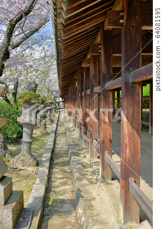 Kibitsu Shrine Kibitsu Shrine 64081595