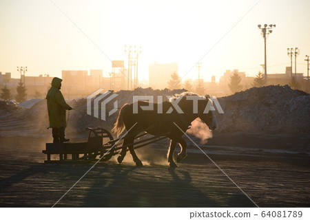 Horse training Horse training 64081789