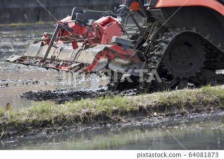 農場工作四月 64081873