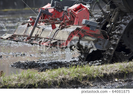 農場工作四月 64081875