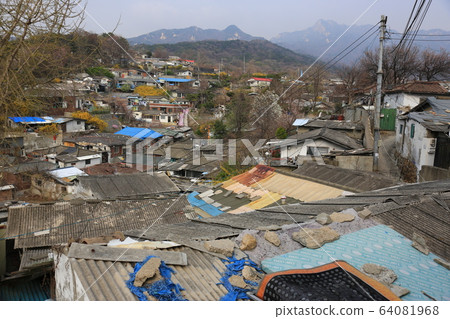 Seongbuk-gu. Jeongneung-dong. Spring flowers Seongbuk-gu. Jeongneung-dong. Spring flowers 64081968