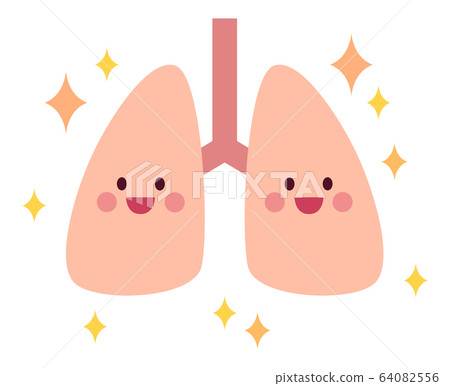 Clean and healthy lungs 64082556