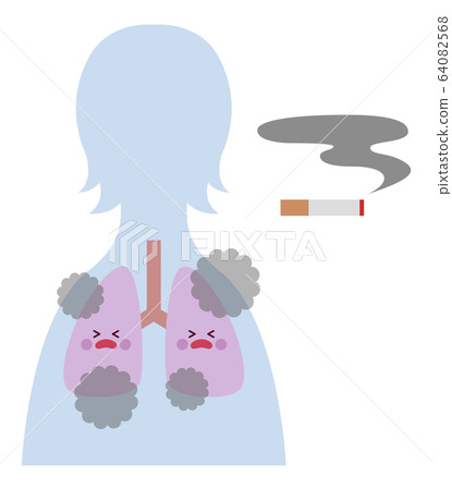 Smoker (female) lungs 64082568