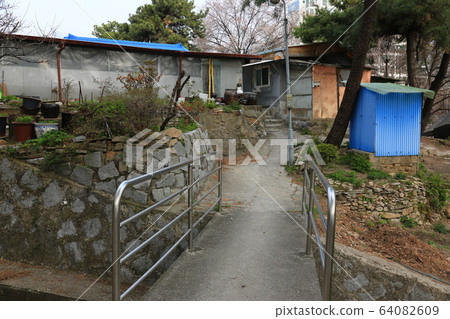 Seongbuk-gu. Jeongneung-dong. Spring flowers Seongbuk-gu. Jeongneung-dong. Spring flowers 64082609