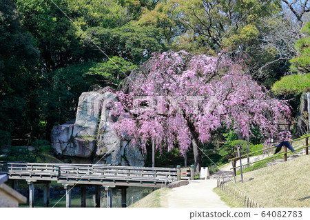 後樂園 後樂園 64082783