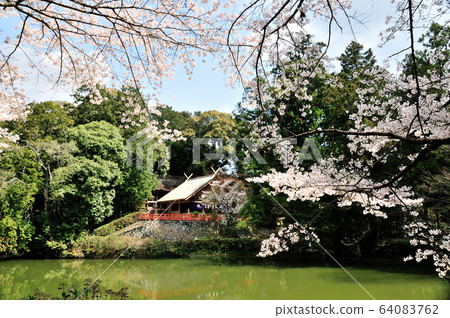 加茂神社 64083762