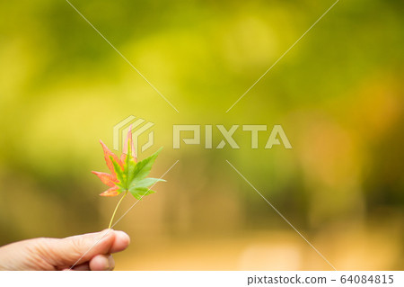 秋葉的開始 64084815