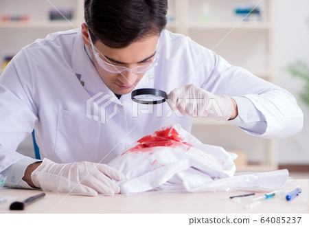 Expert criminologist working in the lab for evidence 64085237