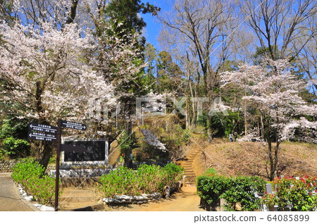 飯山觀音 長谷寺 駛向神奈川縣厚木市櫻花樹和飯山白山森林公園路 照片素材 圖片 圖庫