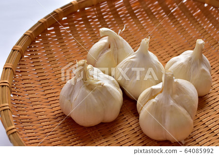 Garlic Garlic 64085992