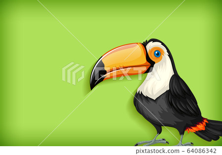 Background template with plain color and toucan Background template with plain color and toucan 64086342