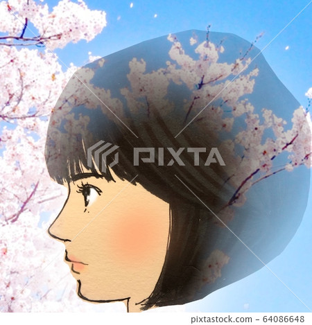 Cherry blossom 64086648
