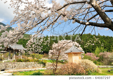 Katsuragi Kodo Hashimotoin Meditation Garden 64087297