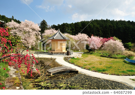 Katsuragi Kodo Hashimotoin Meditation Garden Katsuragi Kodo Hashimotoin Meditation Garden 64087299