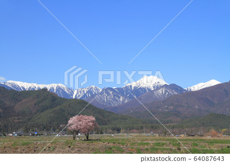 春天的安zu野山腳的Jonnen 64087643