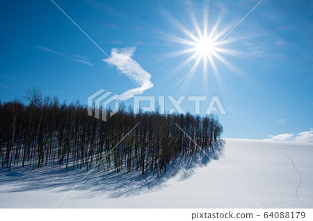 Sunny hill Sunny hill 64088179