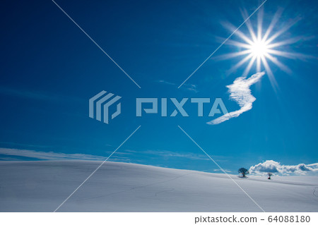 Sunny hill Sunny hill 64088180
