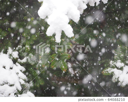 雪地 64088210