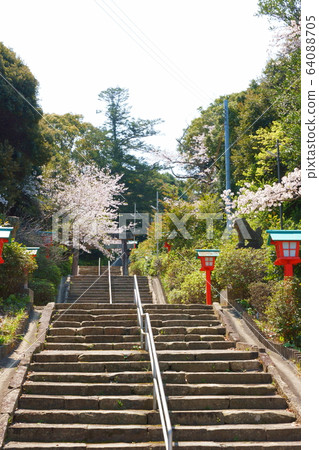 羽生神社櫻花 64088705