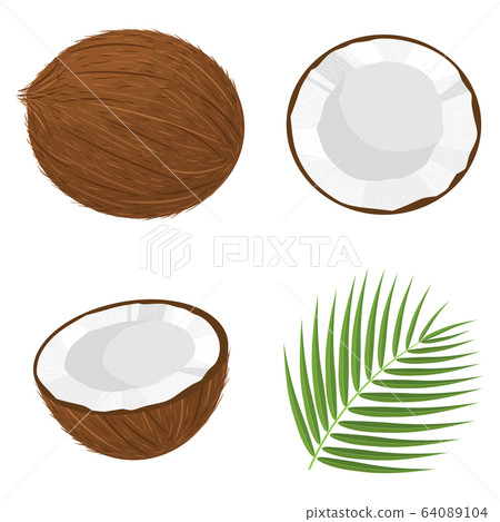 Set of exotic whole, half, cut slice coconut 64089104