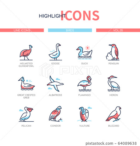 Bird species - modern line design style icons set 64089638