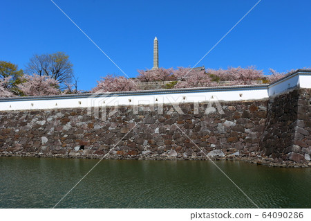 ■甲府城堡■舞鶴城公園■陽光■山梨縣■盛開櫻花 ■甲府城堡■舞鶴城公園■陽光■山梨縣■盛開櫻花 64090286