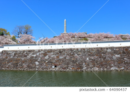 ■甲府城堡■舞鶴城公園■陽光■山梨縣■盛開櫻花 64090437