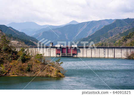 Cherry tree of Kimigano dam 64091825
