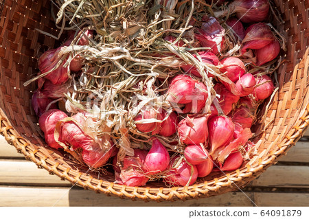 Selective Focus Vegetable Shallot Scientific Name Stock Photo 2311630259