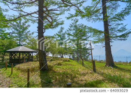 Near the arbor of Mount Amari in Yamanashi and Mt.Fuji 64093029