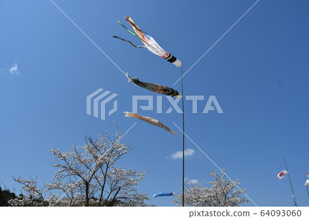 Carp streamer swimming in the blue sky 64093060