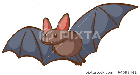 One bat flying on white background - Stock Illustration [64093441] - PIXTA