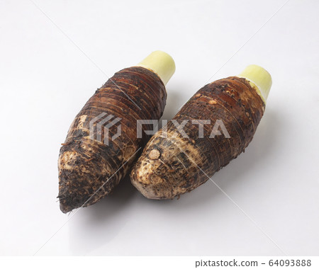 Fresh taro roots isolated on white 64093888