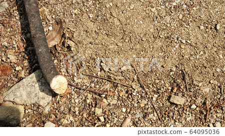 Wooden floor 64095036