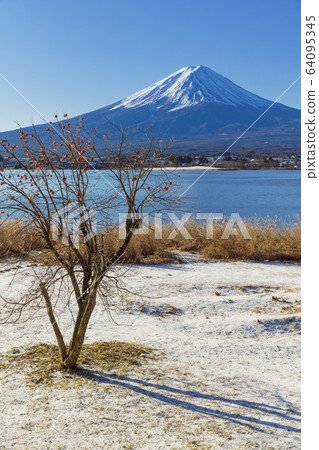 Yamanashi_Mt.Fuji in winter and remaining persimmons Yamanashi_Mt.Fuji in winter and remaining persimmons 64095345