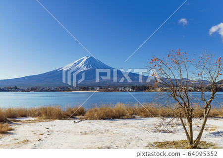 Yamanashi_Mt.Fuji in winter and remaining persimmons Yamanashi_Mt.Fuji in winter and remaining persimmons 64095352