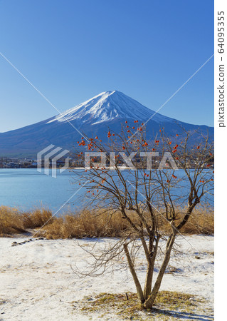 冬季山梨縣富士山和剩下的柿子 64095355