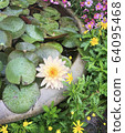 Lotus garden 64095468