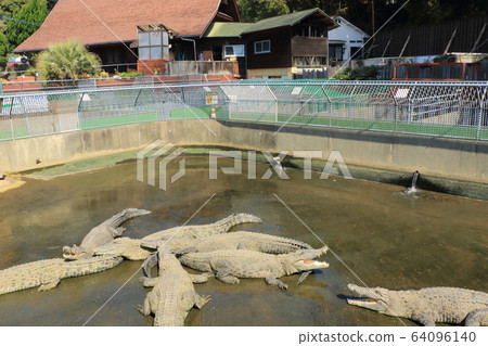 鬼山地獄（別府地獄之旅） 64096140