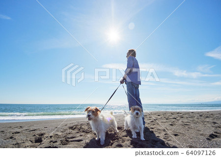 Senior man active dog sea dog 64097126