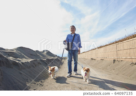 老人活躍狗海狗 老人活躍狗海狗 64097135