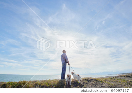 老人活躍狗海狗 64097137