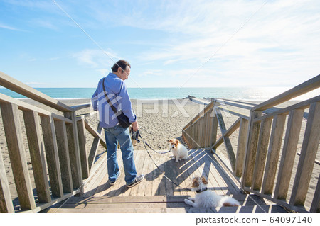 Senior man active dog sea dog Senior man active dog sea dog 64097140