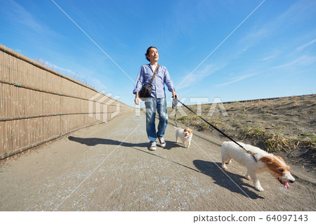 Senior man active dog sea dog Senior man active dog sea dog 64097143