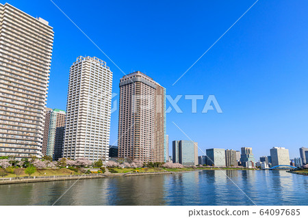 東京大川端川市21的櫻花 64097685