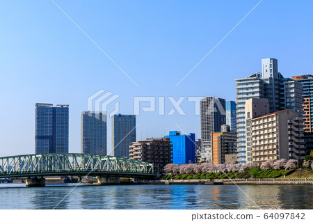 東京都中央區相生橋和櫻花 64097842