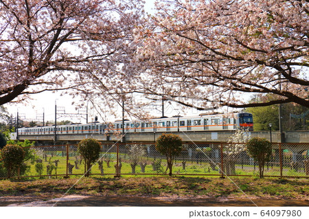 Hokuso Line Keisei Electric Railway 3100 Type Kamagaya City Sakura 64097980