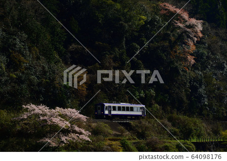 閃亮的火車和櫻花 閃亮的火車和櫻花 64098176