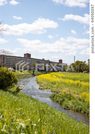 Landscape of Yamashina River in spring (around Daigo) Landscape of Yamashina River in spring (around Daigo) 64098897