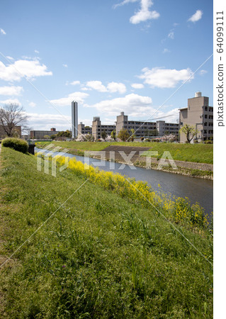 Spring landscape of Yamashina River (near Daigo) Spring landscape of Yamashina River (near Daigo) 64099111